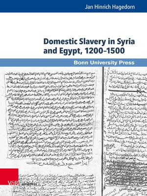 cover image of Domestic Slavery in Syria and Egypt, 1200–1500
